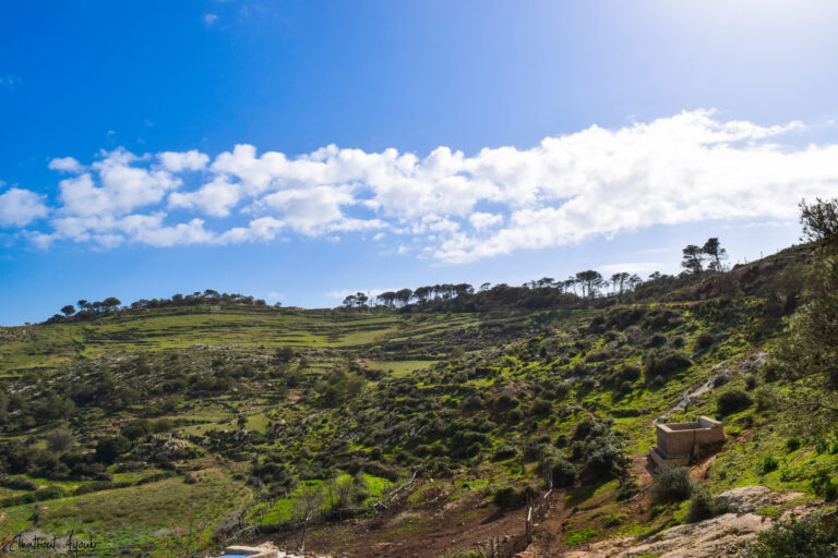 Jebel Gourougou